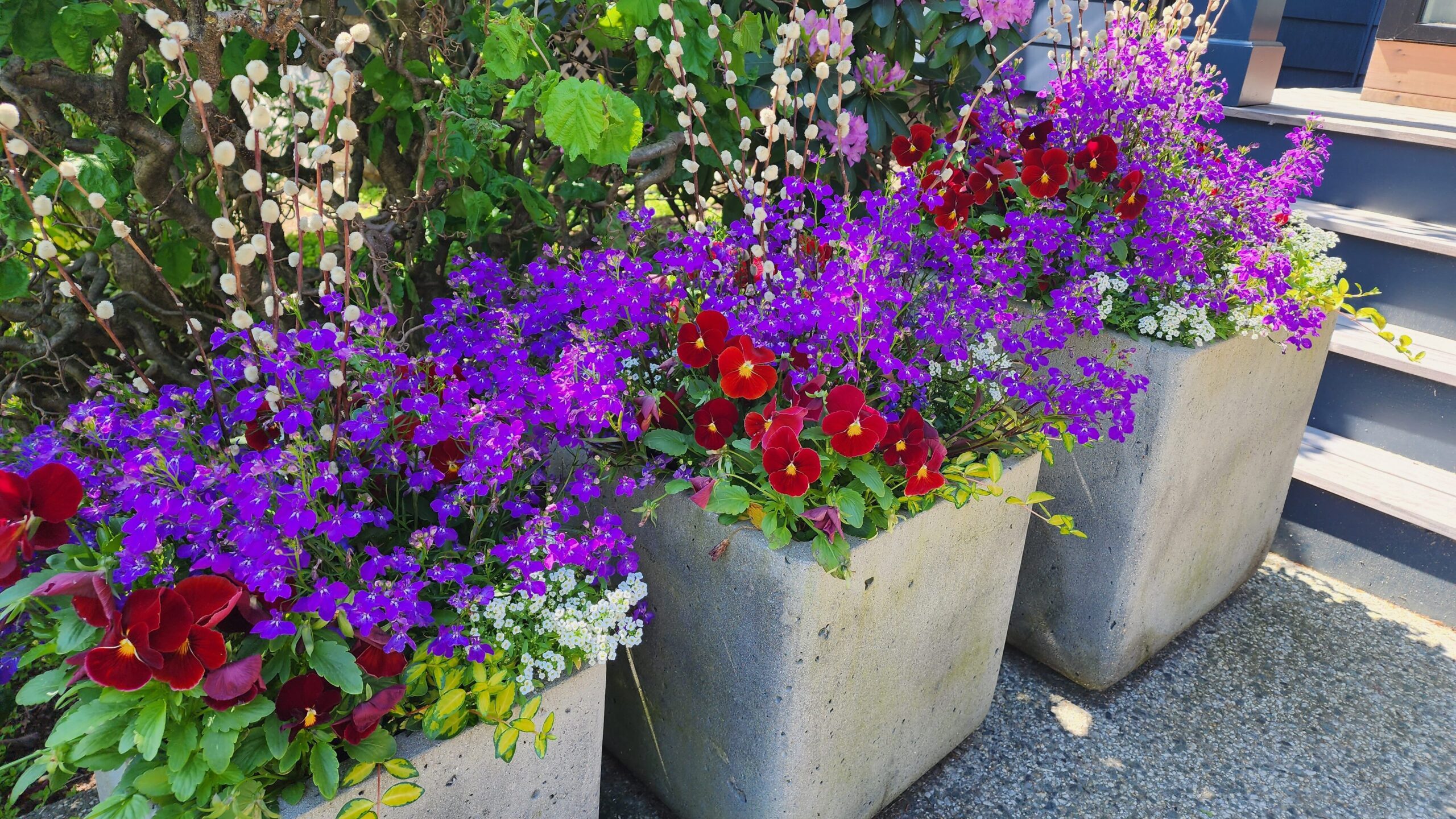 Epping New Hampshire Container Garden Services for Spring