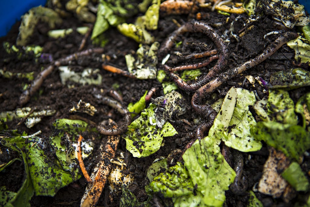 vermicompost southern new hampshire